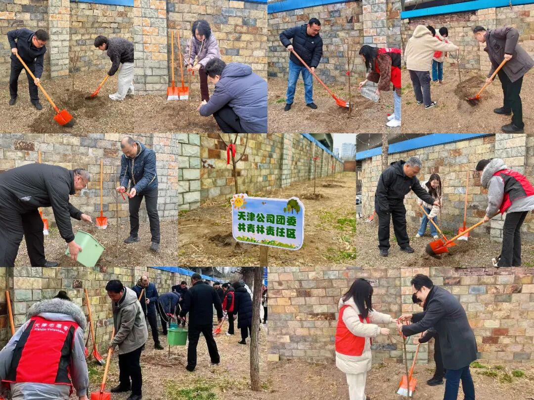 值此新绿担使命 青春建功向未来——天津公司团委开展学雷锋志愿服务月暨春季植树主题活动